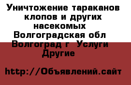 Уничтожение тараканов,клопов и других насекомых - Волгоградская обл., Волгоград г. Услуги » Другие   